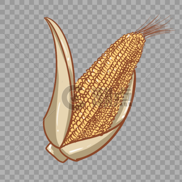 农作物玉米卡通手绘图片素材免费下载
