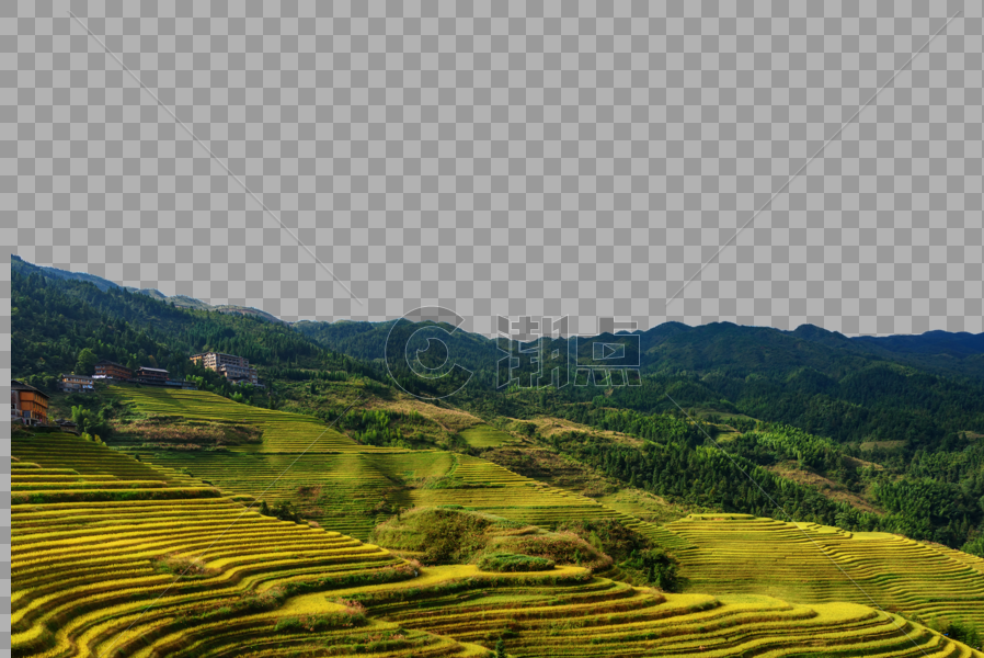 山下稻谷风景图片素材免费下载
