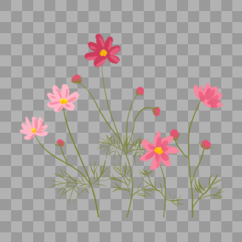 粉色花卉花丛图片素材免费下载