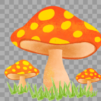 小蘑菇图片素材免费下载