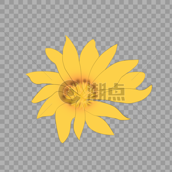 黄色花朵图片素材免费下载
