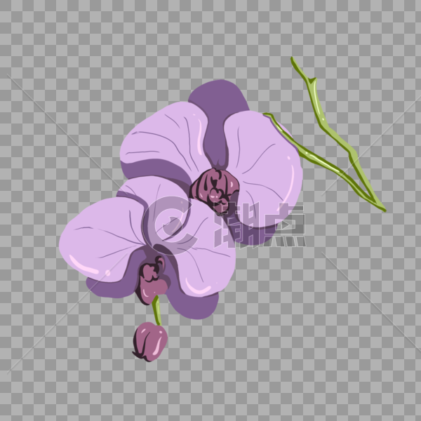 手绘紫色花卉图片素材免费下载