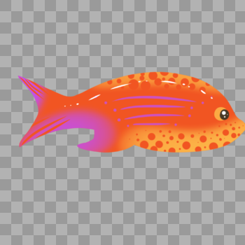橙色斑点热带鱼图片素材免费下载