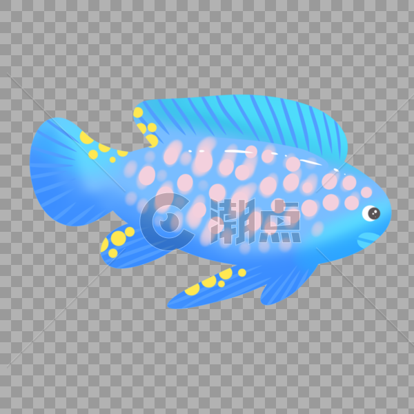 蓝色斑点热带鱼图片素材免费下载