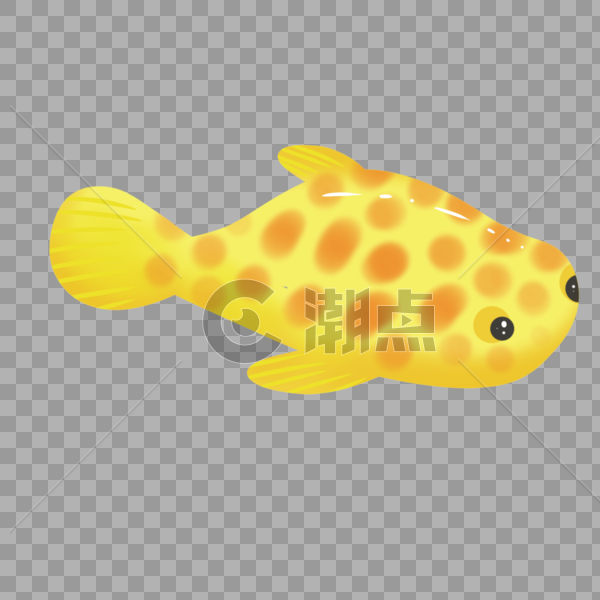 黄色斑点热带鱼图片素材免费下载