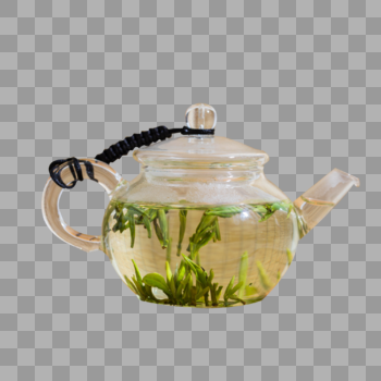 玻璃壶中漂浮的茶芽图片素材免费下载