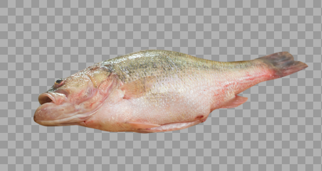 红烧鱼美味图片素材免费下载