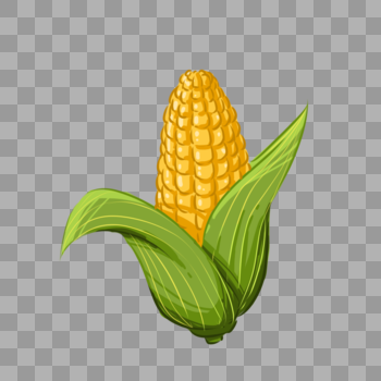 节气金色玉米图片素材免费下载