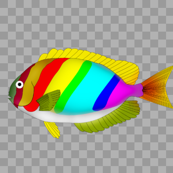 海洋生物彩色鱼图片素材免费下载