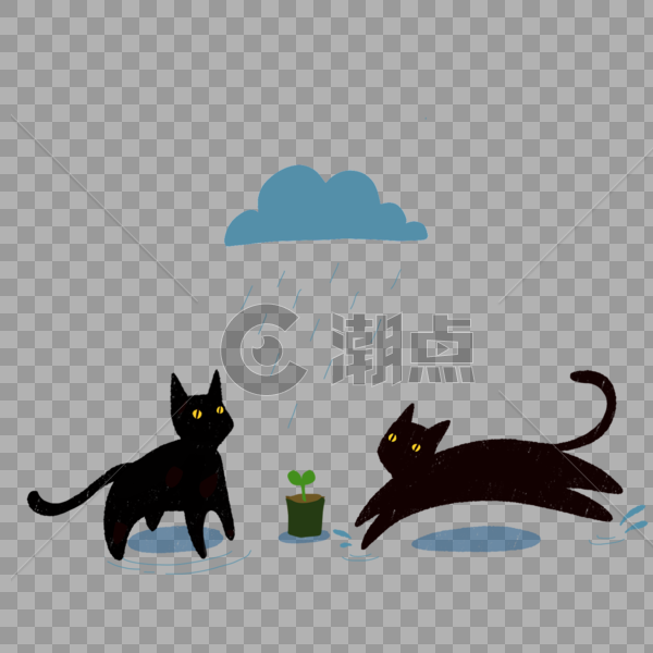 雨天黑猫小草图片素材免费下载