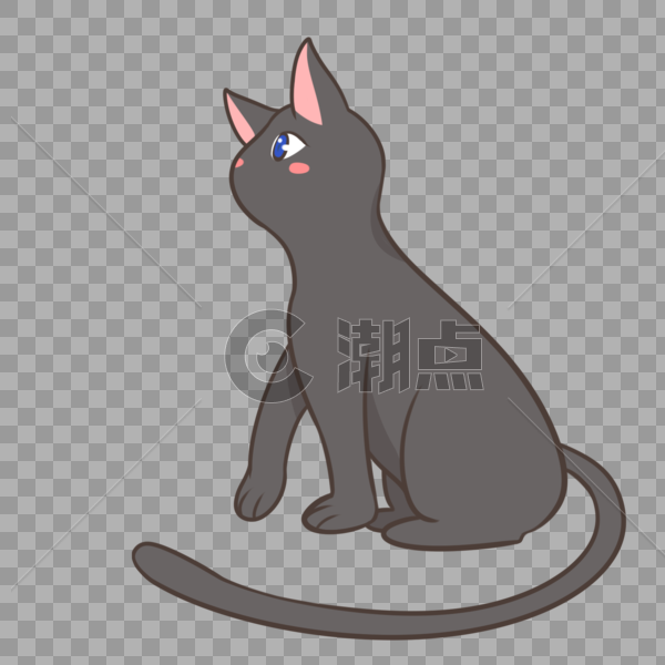望天的黑猫图片素材免费下载