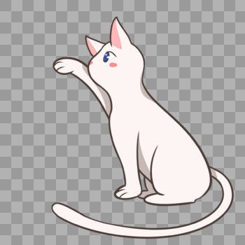玩逗猫棒抬手的白猫图片素材免费下载