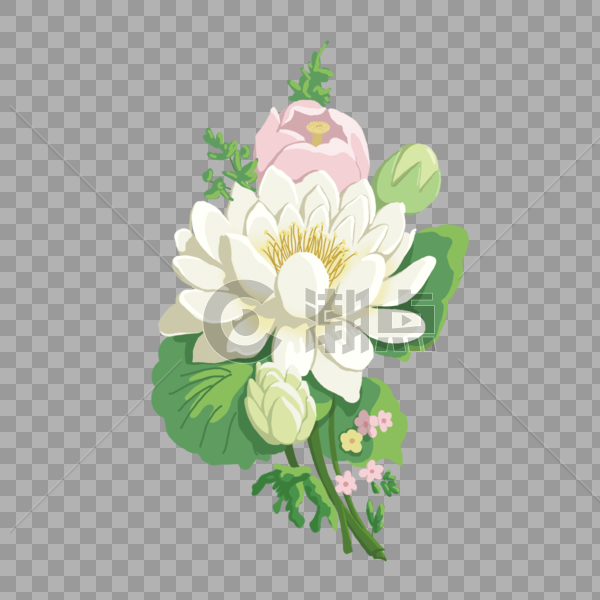 手绘白色花卉植物图片素材免费下载