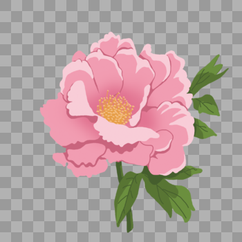 手绘粉色牡丹花花卉植物图片素材免费下载