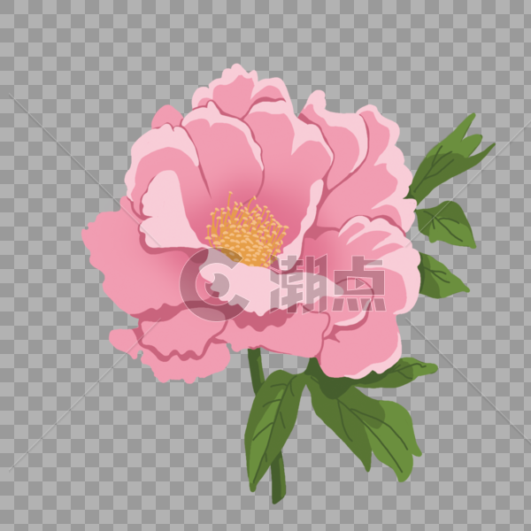 手绘粉色牡丹花花卉植物图片素材免费下载