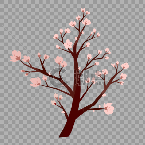 手绘粉色樱花植物图片素材免费下载