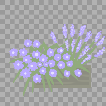 紫色小花盆栽图片素材免费下载