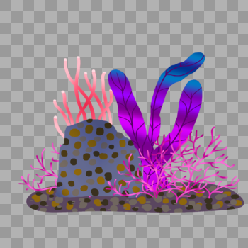 彩色珊瑚水草植物图片素材免费下载