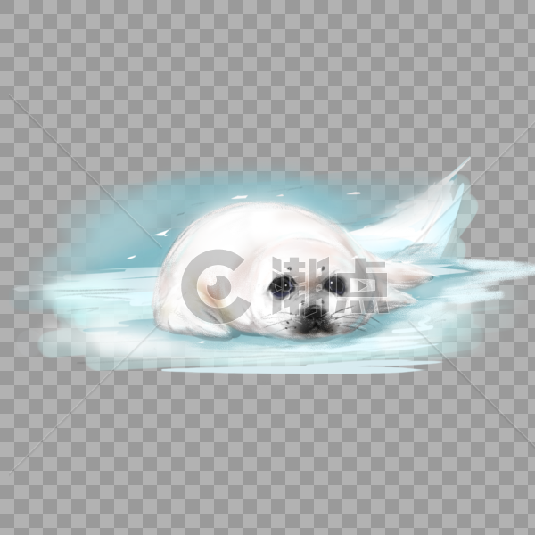 一只白色的海豹趴在冰面上图片素材免费下载