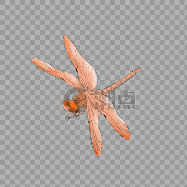 飞翔的蜻蜓图片素材免费下载
