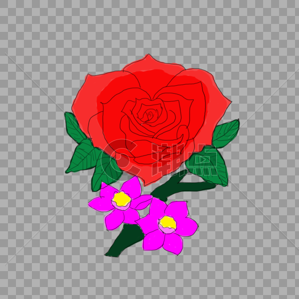 鲜艳的玫瑰花图片素材免费下载