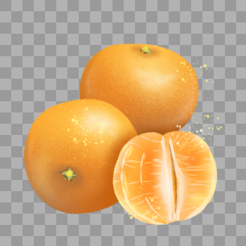 夏季水果柑橘橙子图片素材免费下载