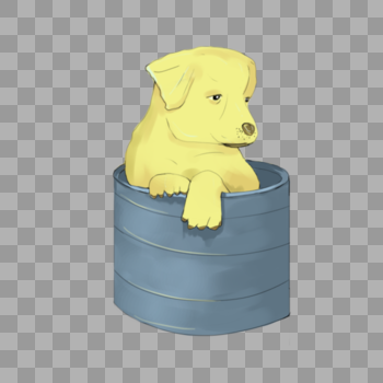 在小桶里的可爱小狗图片素材免费下载