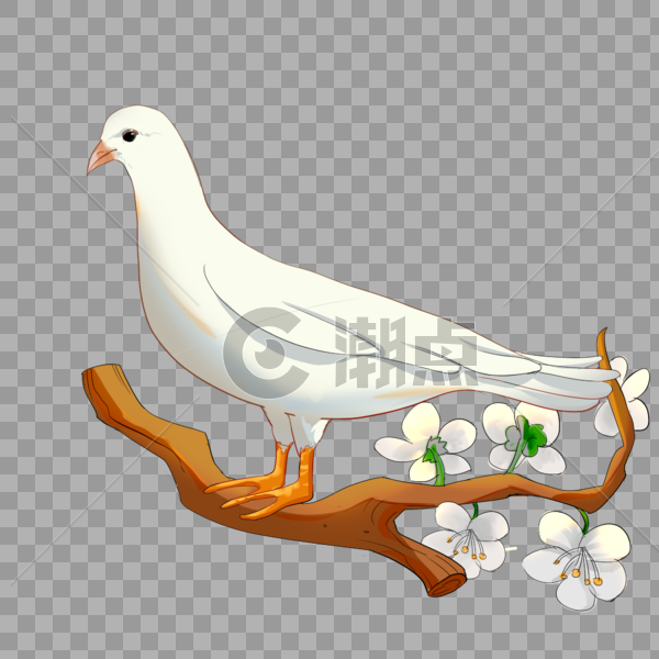 一只和白鸽站在树枝上图片素材免费下载