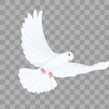 白色飞翔的和平鸽图片素材免费下载