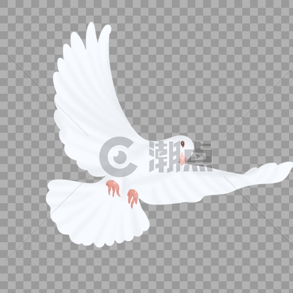 白色飞翔的和平鸽图片素材免费下载