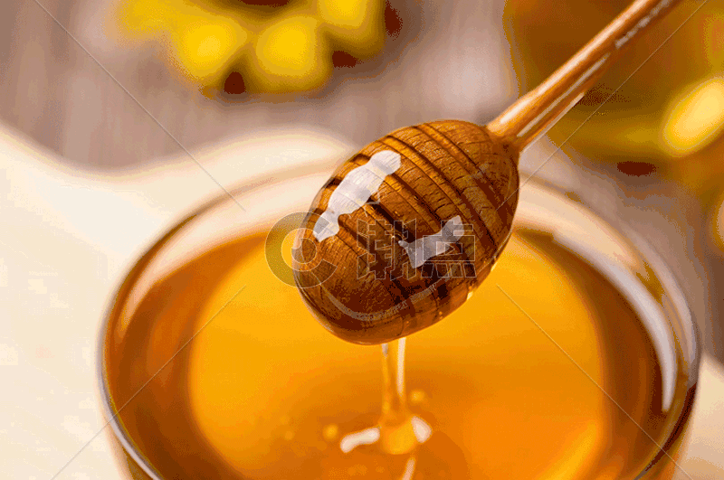 蜂蜜gif图片素材免费下载