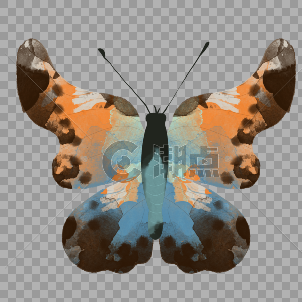 水彩动物蝴蝶深色双翅插画元素手绘图片素材免费下载