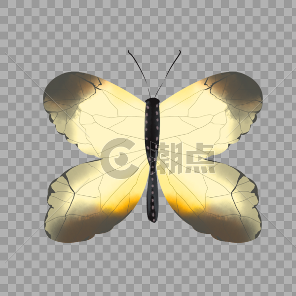 水彩动物蝴蝶双翅深黄色插画元素手绘图片素材免费下载