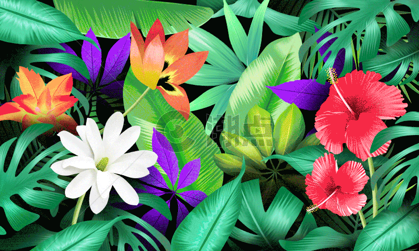 热带植物花卉茶壶插画gif动图图片素材免费下载