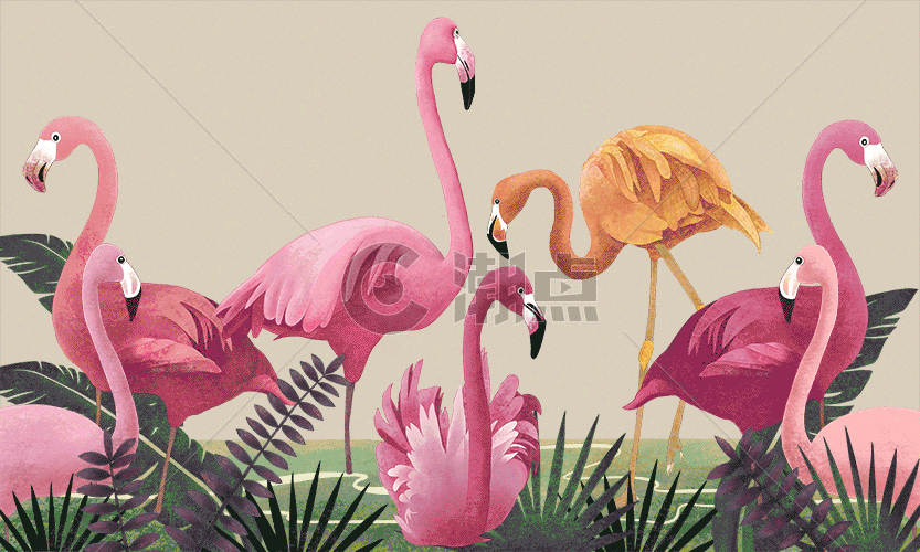 草丛中的火烈鸟插画gif动图图片素材免费下载