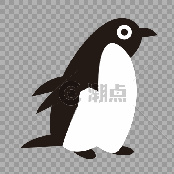 海洋动物小企鹅图片素材免费下载
