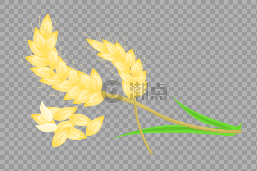 芒种金黄色小麦成熟麦穗颗粒插画元素手绘图片素材免费下载