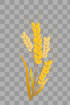 芒种小麦粮食成熟矢量插画元素手绘图片素材免费下载
