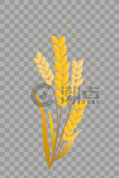 芒种小麦粮食成熟矢量插画元素手绘图片素材免费下载