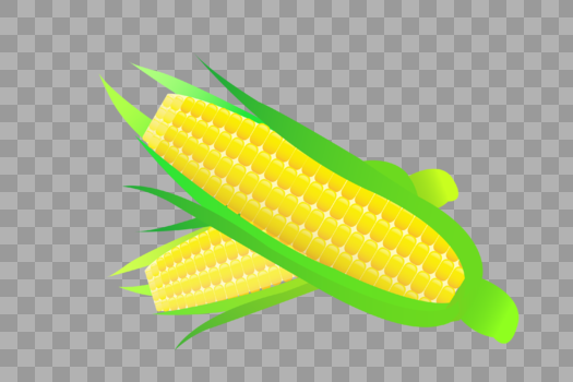 芒种玉米绿叶粮食成熟矢量插画元素手绘图片素材免费下载