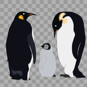 可爱手绘卡通动物南极企鹅一家三口图片素材免费下载