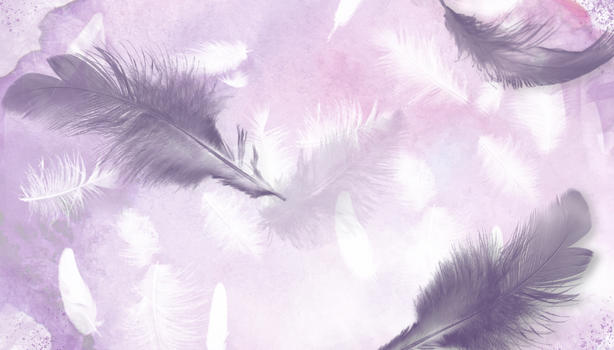 紫色羽毛背景图片素材免费下载