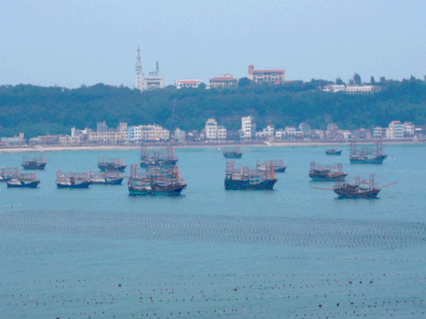 海港港口停泊渔船GIF图片素材免费下载