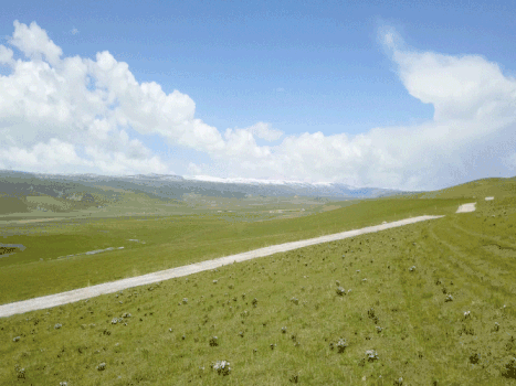 青海湖草原上的公路GIF图片素材免费下载
