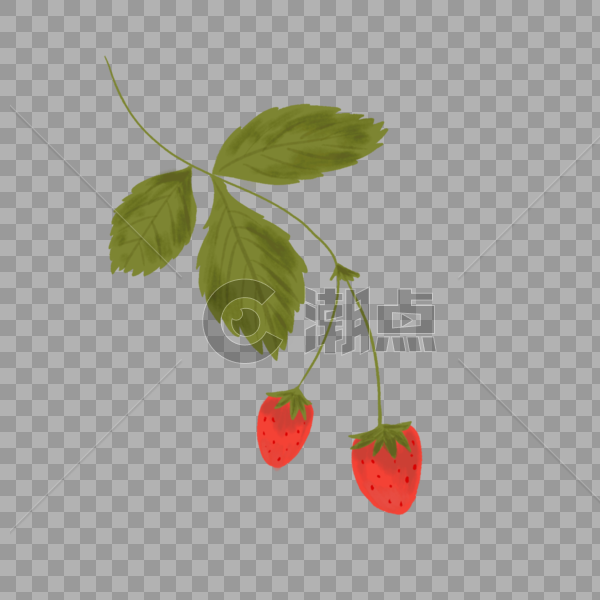 草莓花卉植物图片素材免费下载