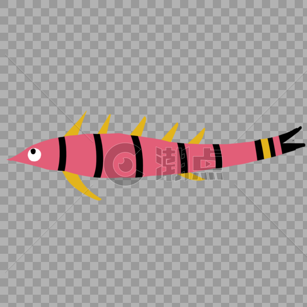 粉色条纹长鱼图片素材免费下载