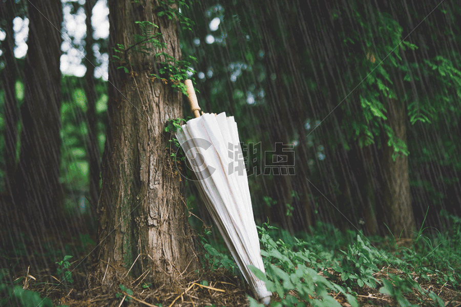 雨天纸伞gif图片素材免费下载