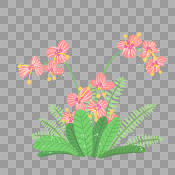 清新夏天植物花朵图片素材免费下载