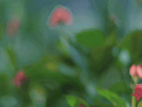 植物空镜集合集锦GIF图片素材免费下载