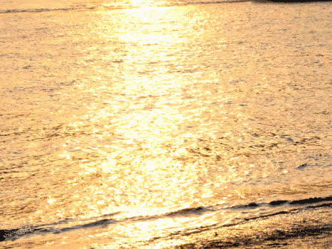夕阳下的海面GIF图片素材免费下载